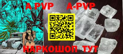СК Моздок
