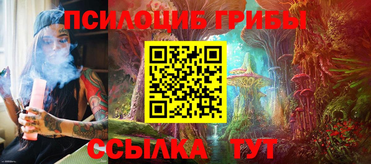 Чебаркуль  Галлюциногенные грибы MAGIC MUSHROOMS  Вход с VPN  Псилоцибиновые грибы мухоморы 